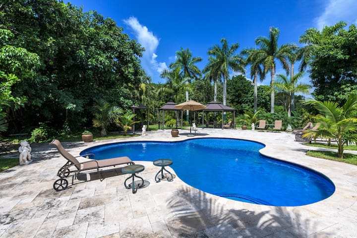 Luxurious Rooms at Casa Mansion
