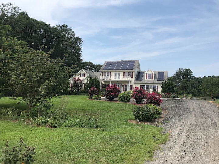 Slaughter Beach Vacation Rentals Airbnb