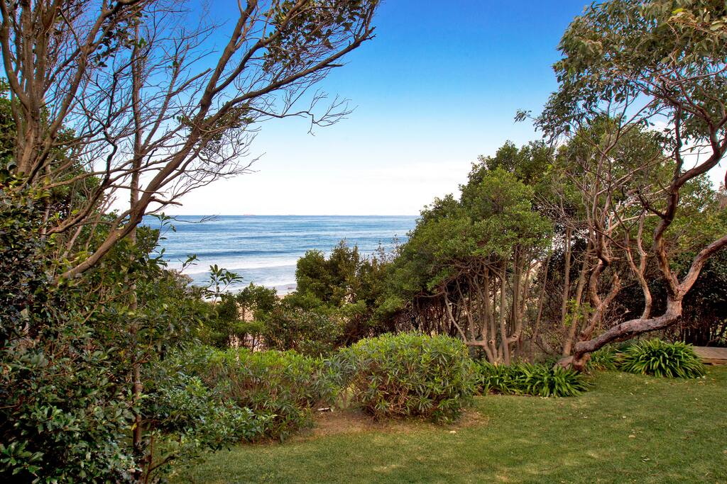 Absolute beach front