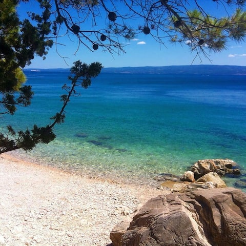 ComeForAvisit, StayForAlifetime!