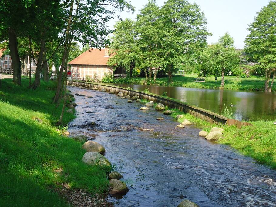 die Oste und der Mühlteich direkt vor der Haustür