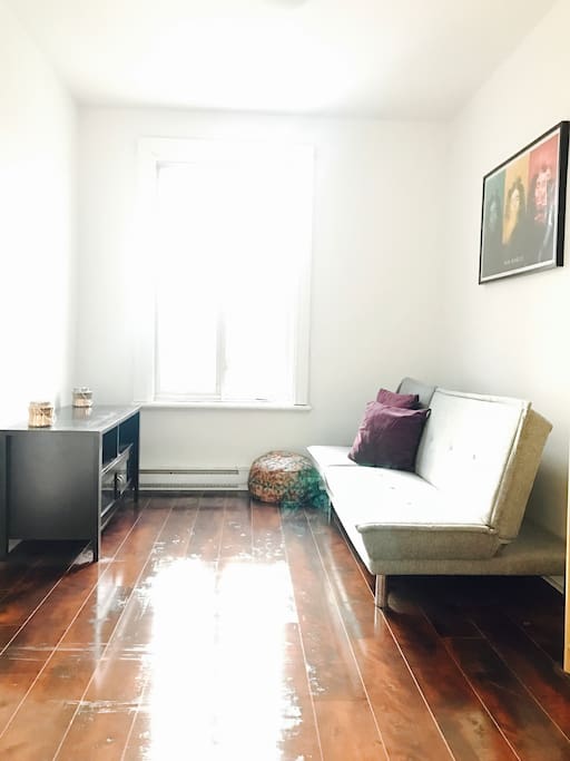 Living Room with Sofa Bed