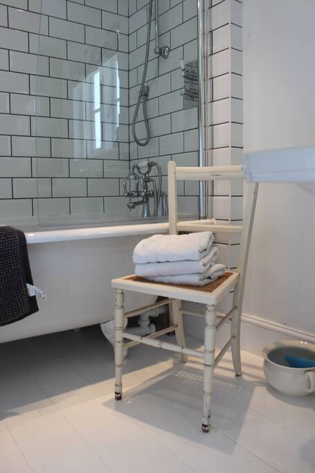 Modern Shower and Bathroom