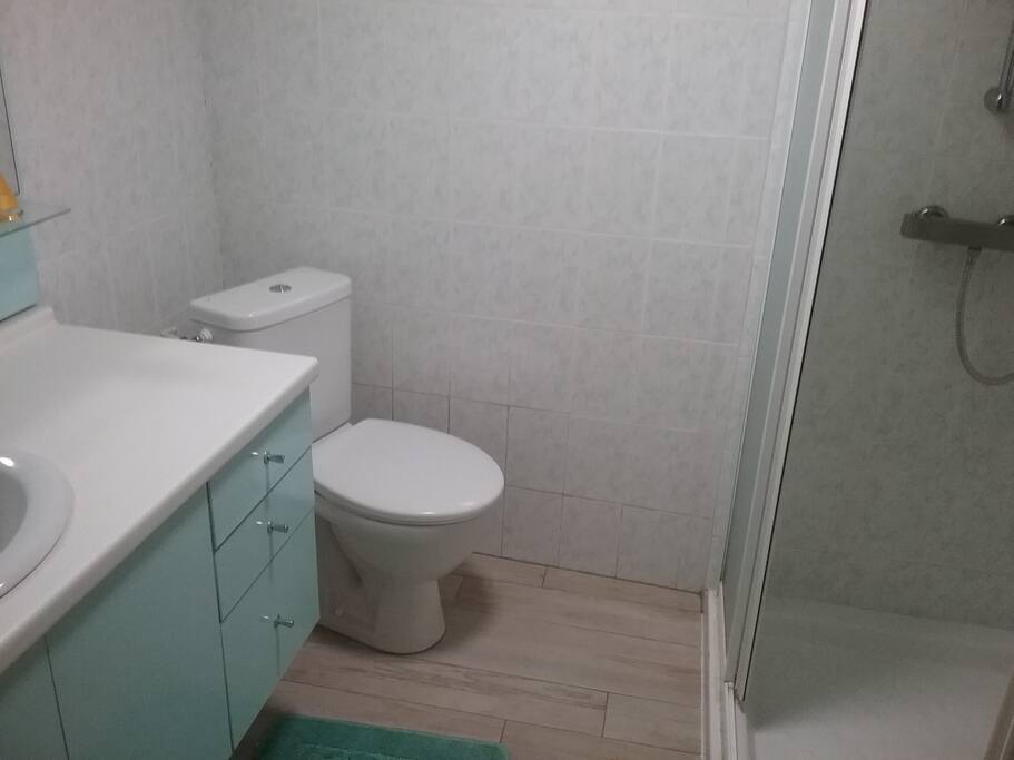 Salle d'eau : lavabo douche, WC