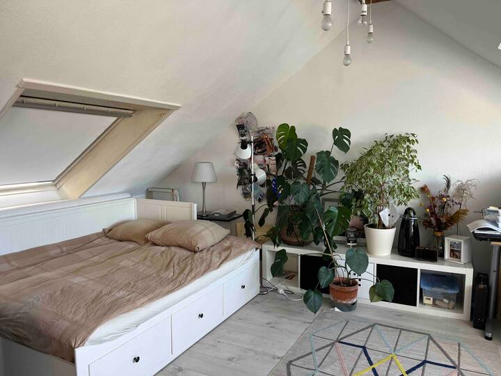 Таван со двоен кревет и биро. 