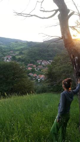 Airbnb Valea Viilor Holiday Rentals Places To Stay Sibiu