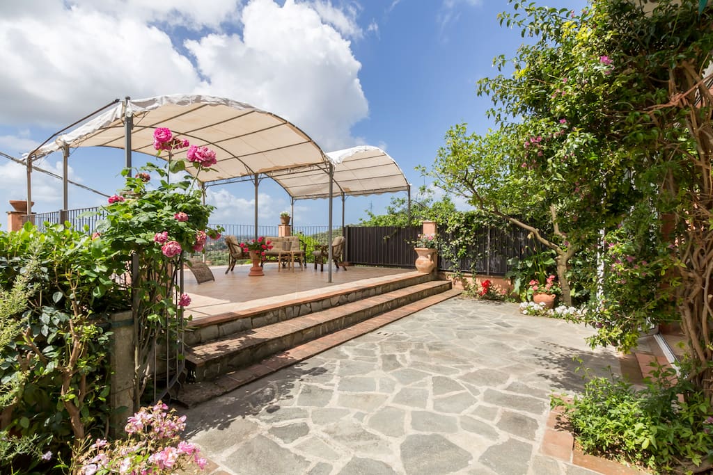 The lovely terrace