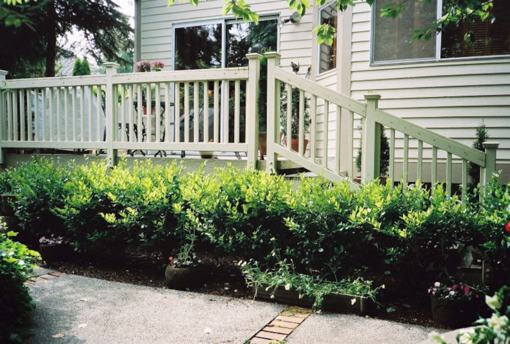 Back deck.