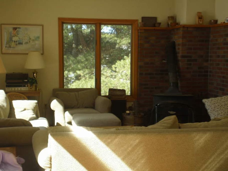 Living Room with Fireplace