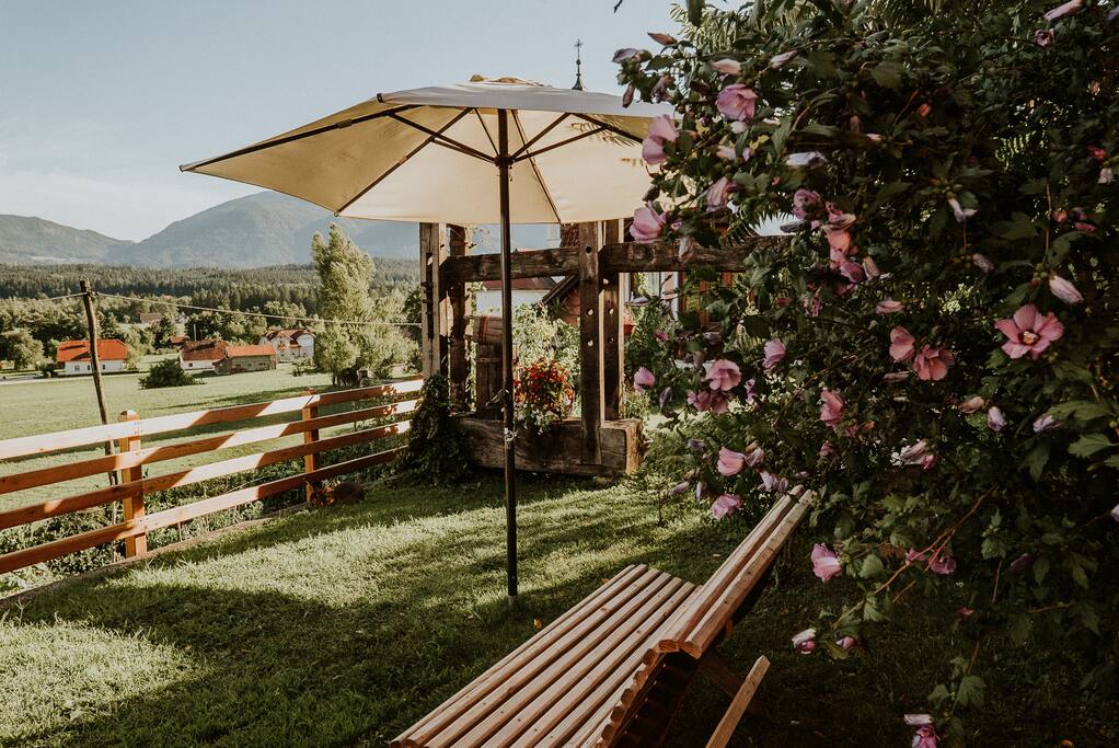 Relaxation spot in the garden.