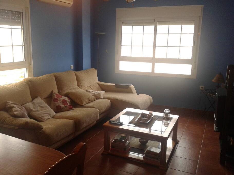 Living room including sofa-bed