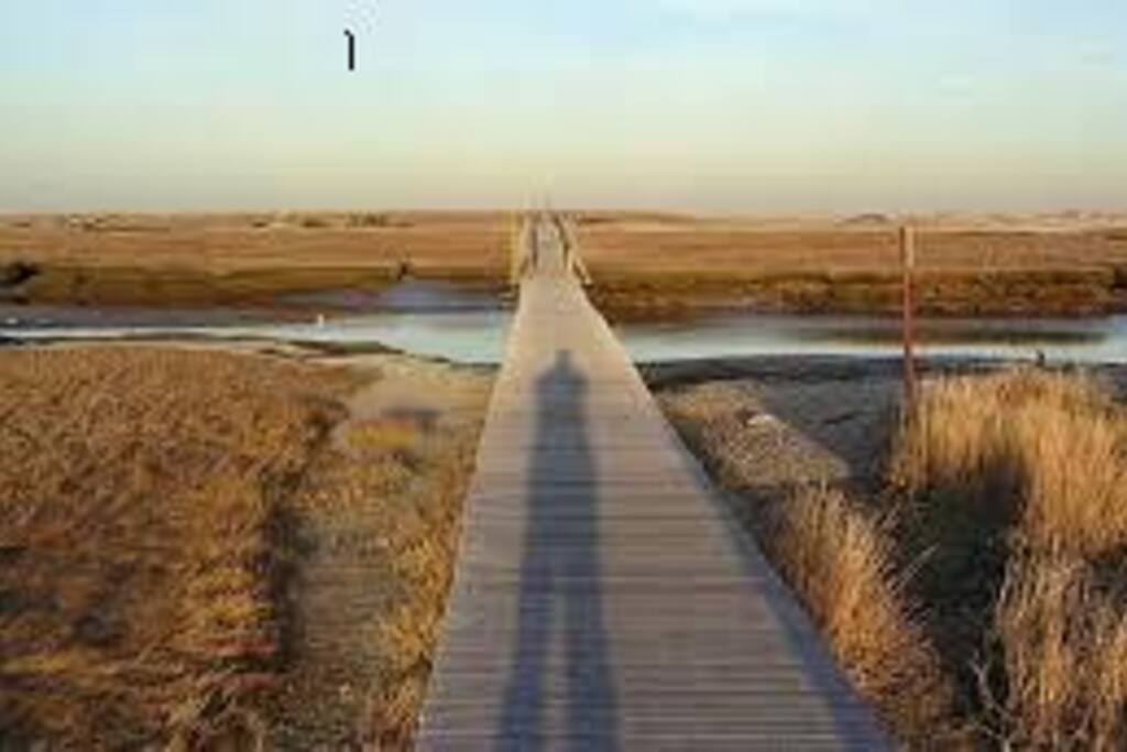 Low tide at the Boardwalk, about a 10 minute walk from the house.