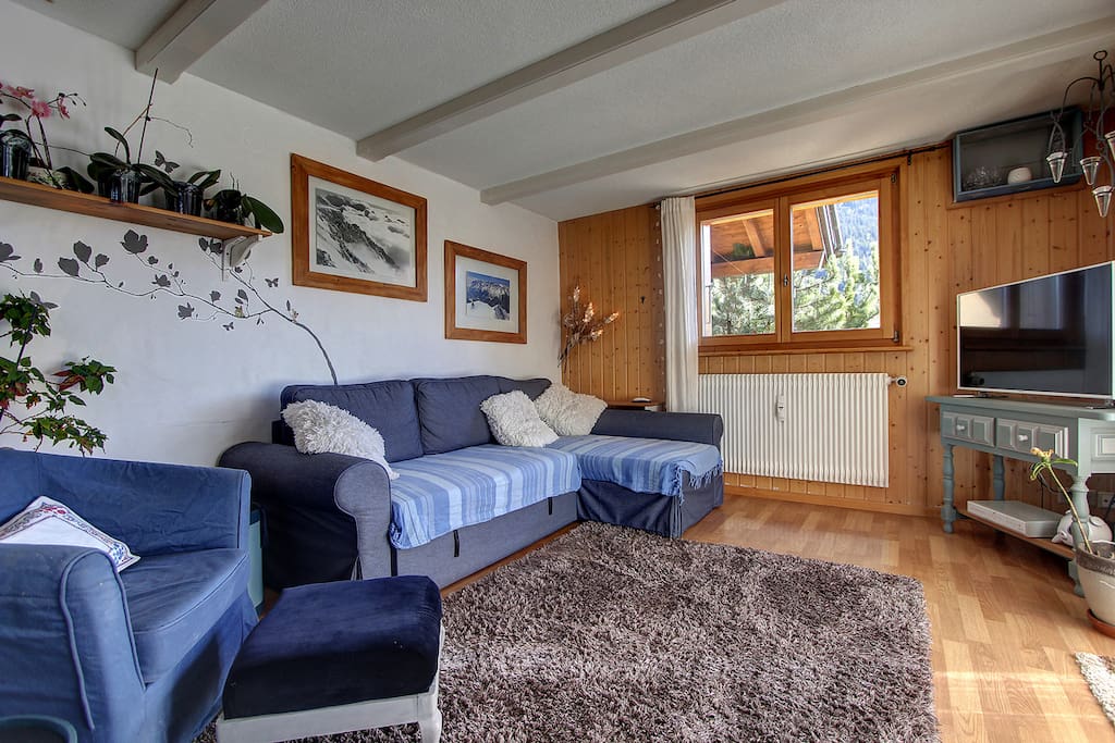 Lounge and pull out sofa bed if an extra person stays