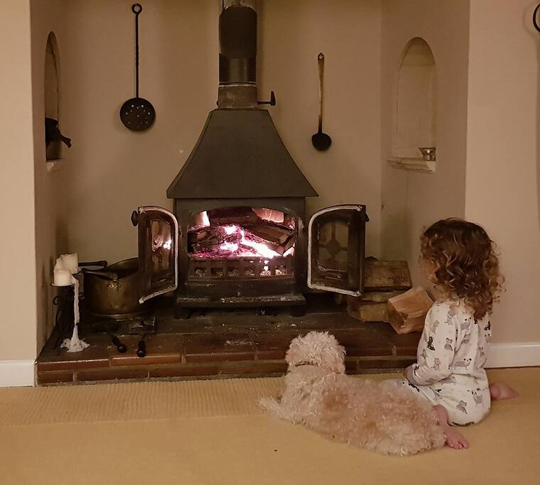 We all love the fire