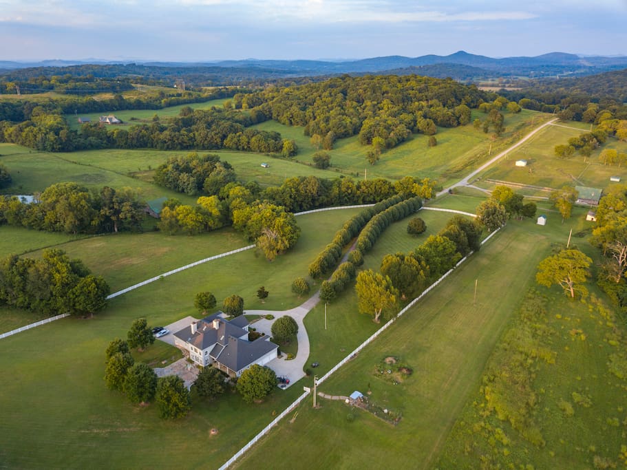 Birdseye View