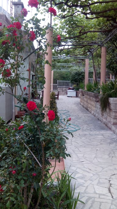 patio