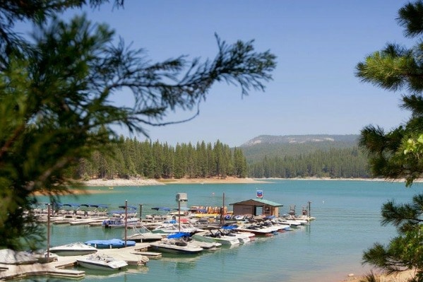 A scenic view of a boat dock situated on a calm blue lake, surrounded by lush greenery. Various boats are moored at the dock, with a small building visible at the water's edge. Pine trees frame the image, enhancing the natural beauty of the setting.