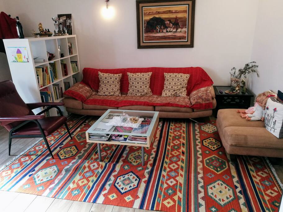 SALOTTO CON DIVANO (COMODO ANCHE PER DORMIRE) - LIVING ROOM WITH SOFA (CONFORTABLE TO SLEEP TOO)