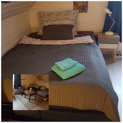 Stor leilighet med 2 soverom