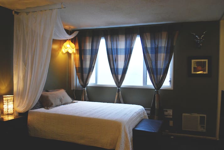 Cozy apartment, best location, and free parking!