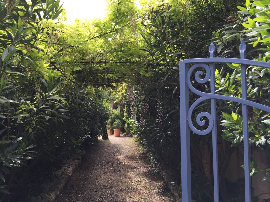 un jardin près de la plage