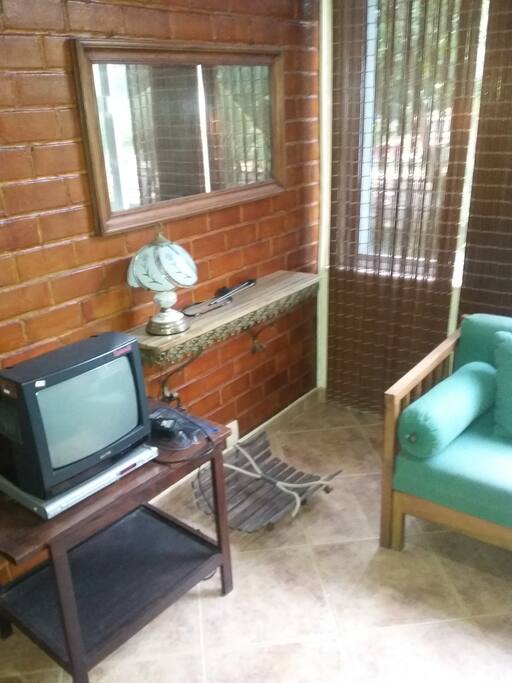 Tv e DVD 1