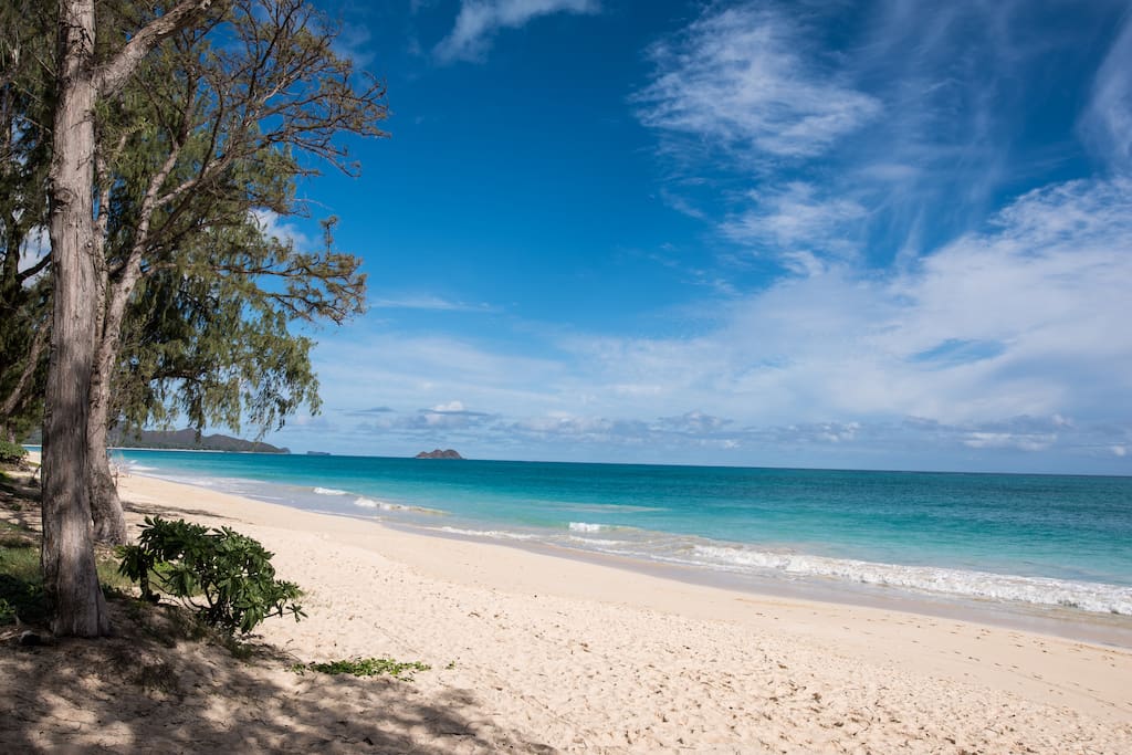 Enjoy long walks on stunning Waimanalo Beach just steps from your doorstep!