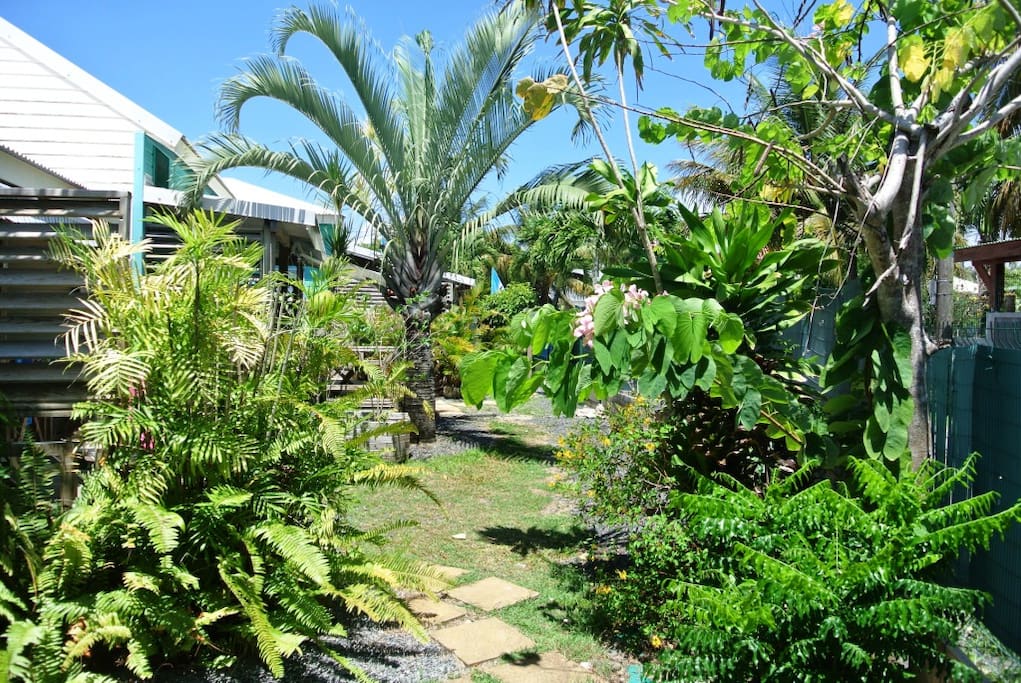 Le jardin