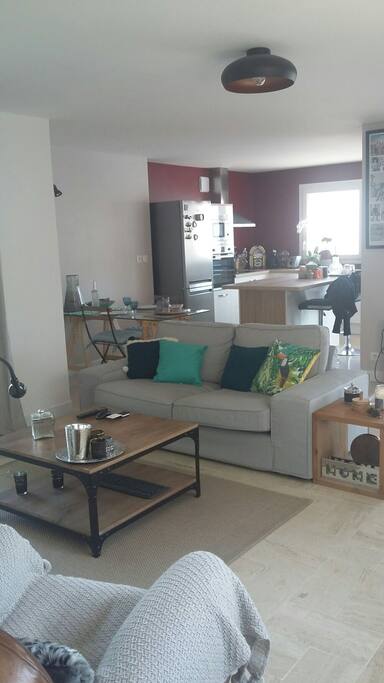 salon cuisine ouverte de 40 m2