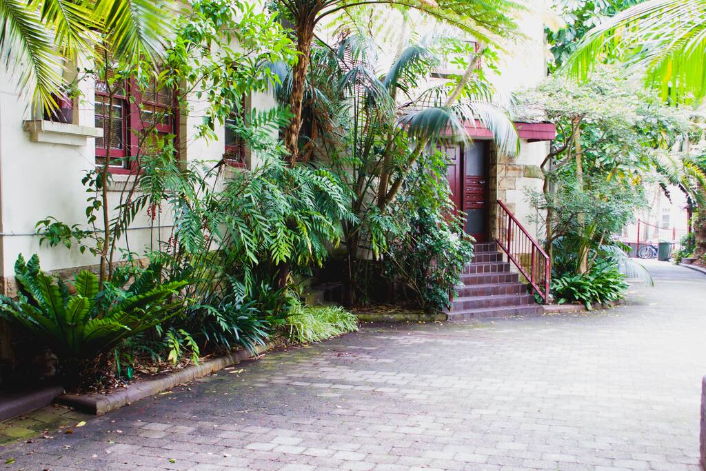 Leafy shady greenery. Perfect in hot summer