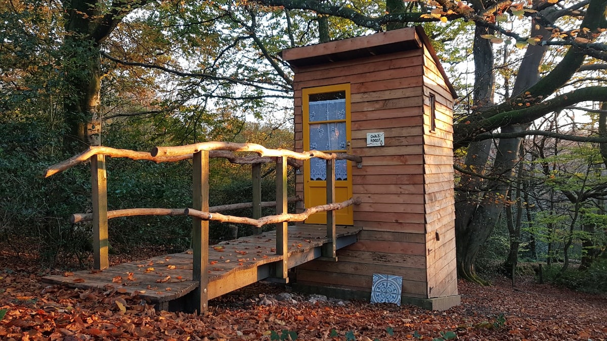 A wooden structure is nestled among trees with autumn leaves covering the ground. A ramp leads to a yellow door framed by a wooden railing. The entryway features a decorative sign, adding character to this natural retreat.