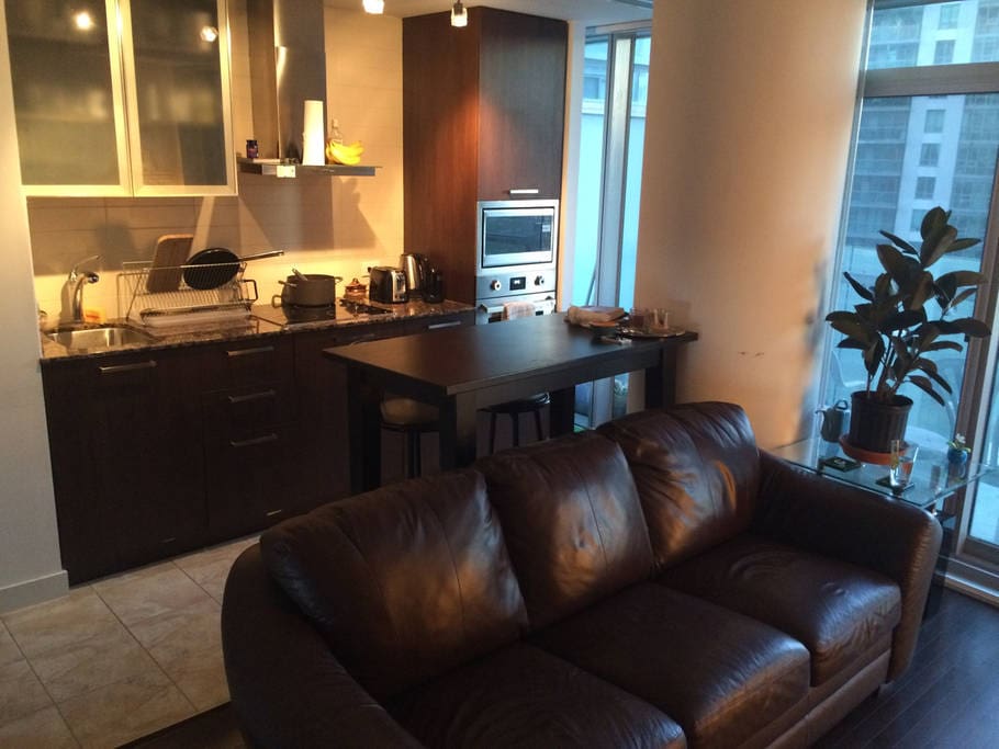 Shared Living Room & Kitchen Space