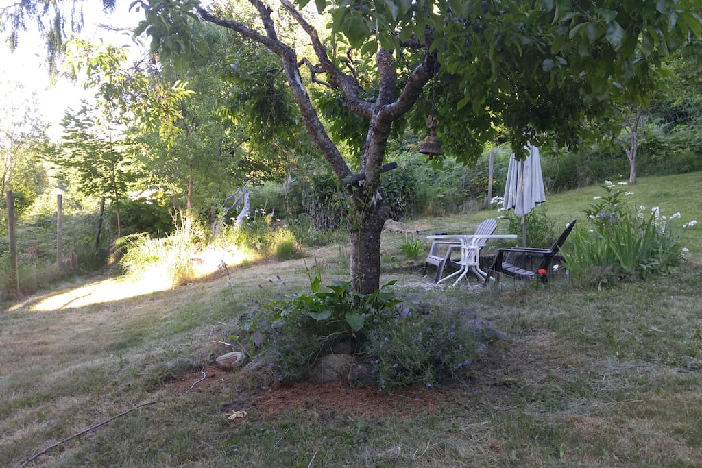 Laid back by the lavender and under the plum tree.. Look a yard for our well mannered canine friends.