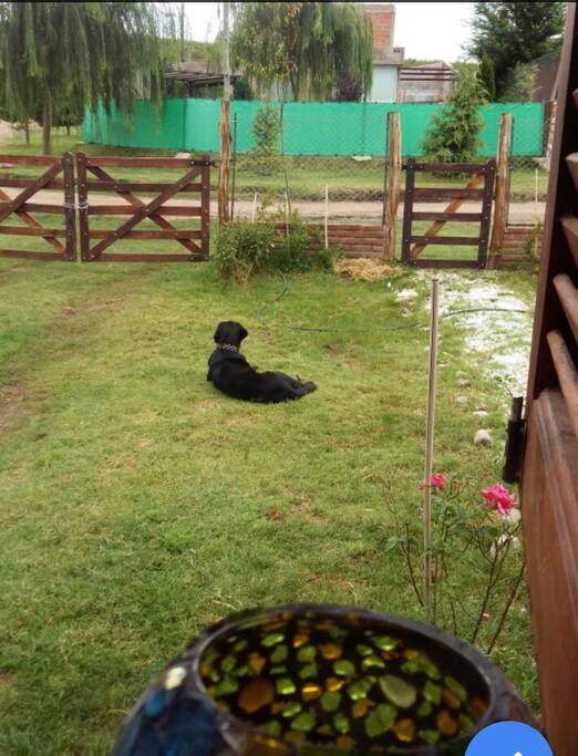 Parque delantero