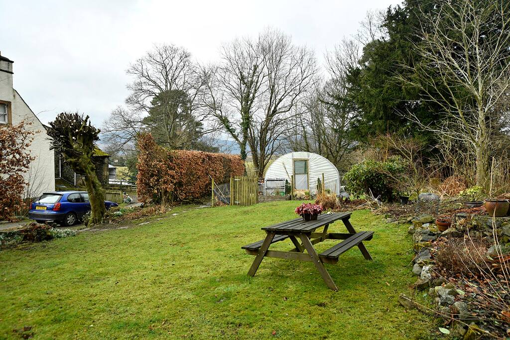 The garden in winter