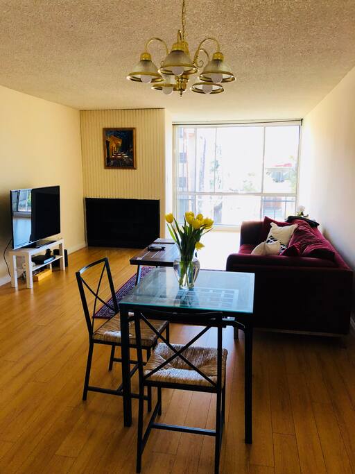 Living room area