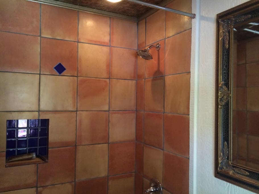 Beautiful tiled shower and tub in the master bedroom