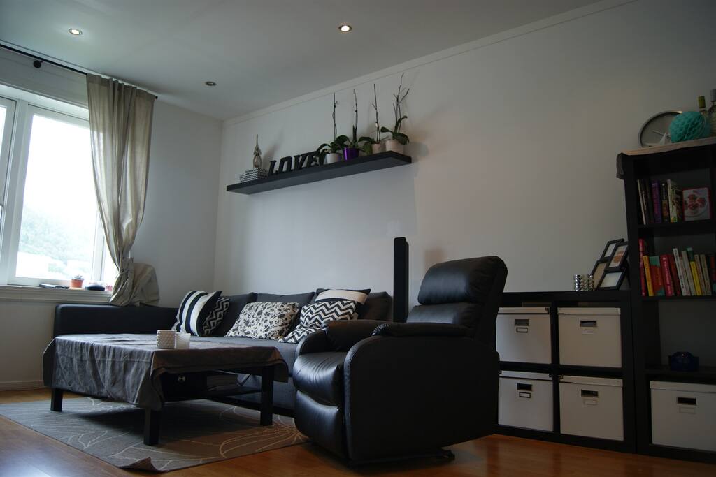 Large living room