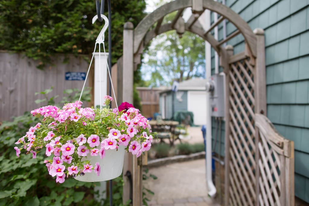 Enjoy the backyard patio