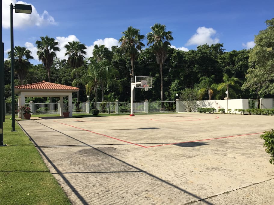 Basketball Court