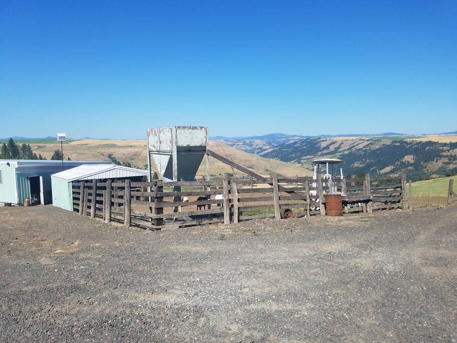 Barn and Goat Pen