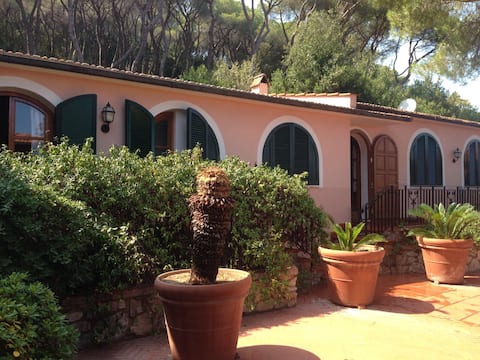 Successful Airbnb property: LA SCUDERIA VILLA DEPENDANCE in Rio