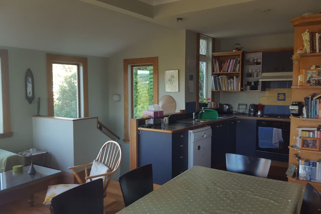 Open plan kitchen, dining and family room
