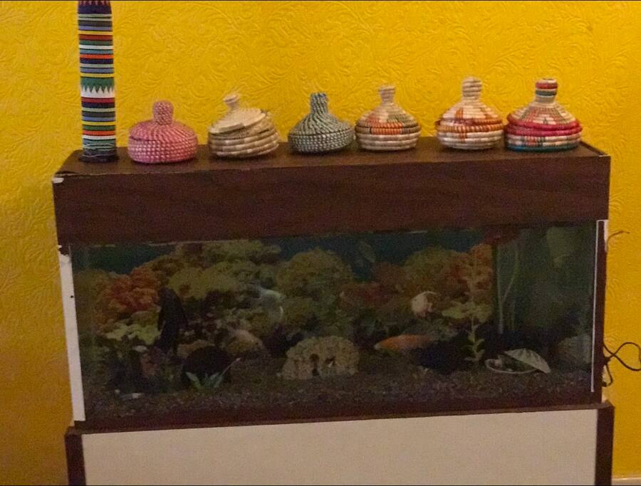 The aquarium - please remember to feed the fish!