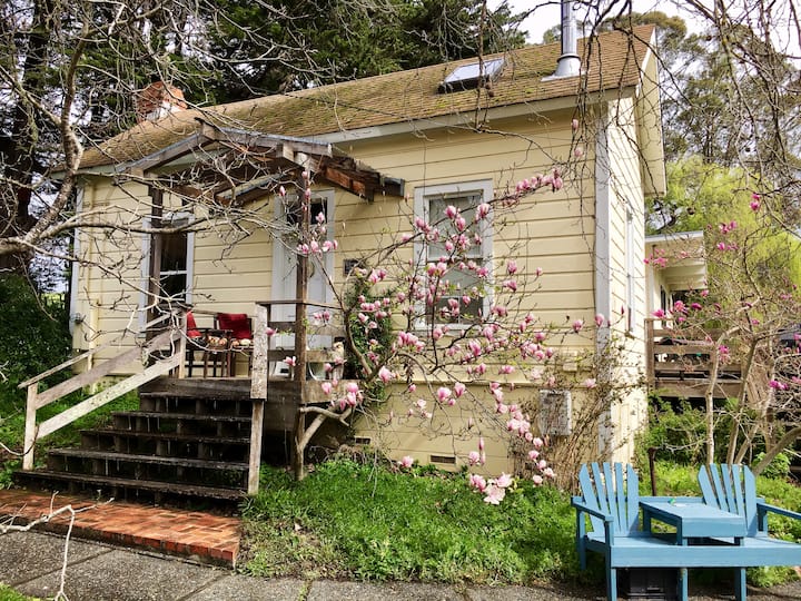 Pt. Reyes, Robins Retreat, cal king bed, jacuzzi!