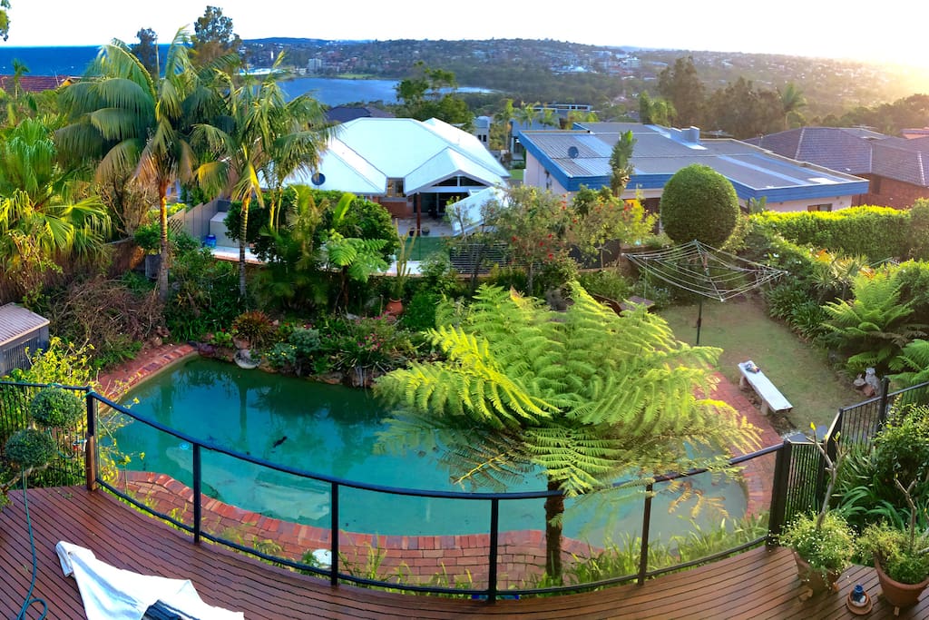 View looking down to the pool