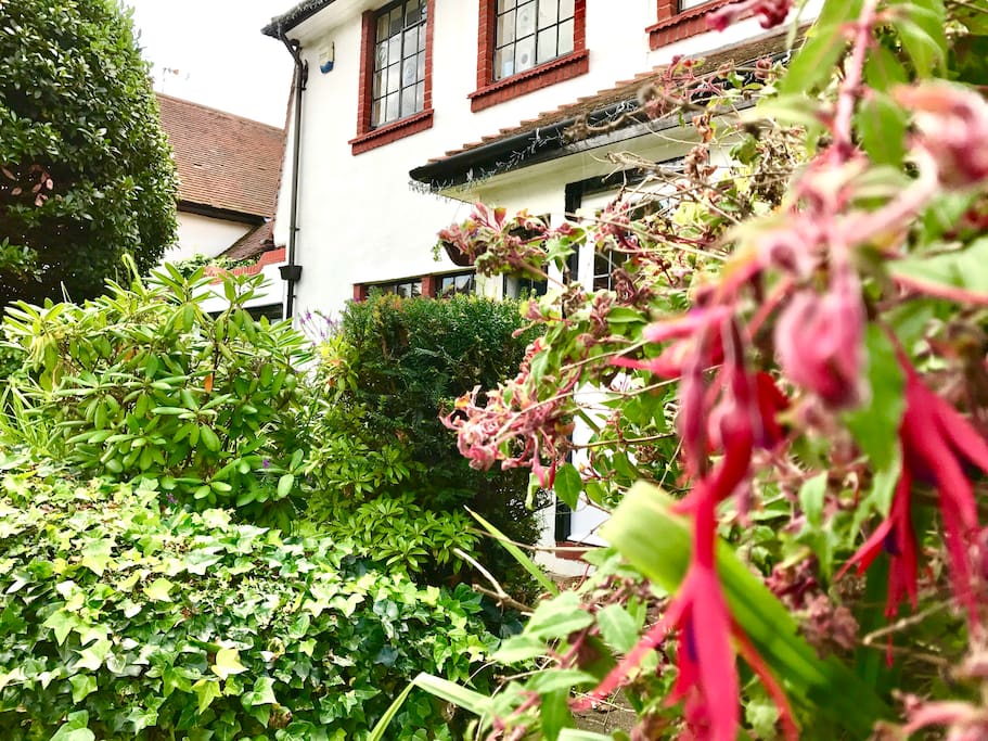 Front of house