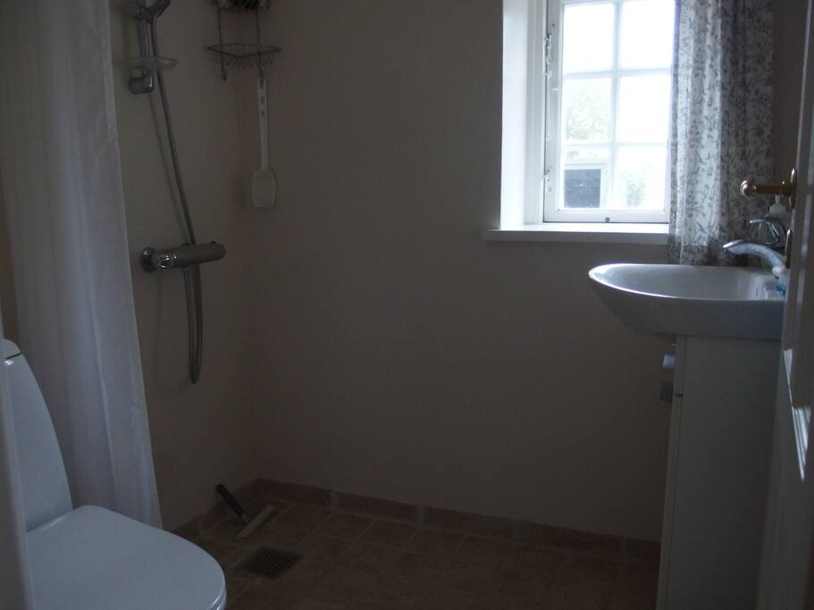 Private bathroom (ground floor, across the hall from the room)