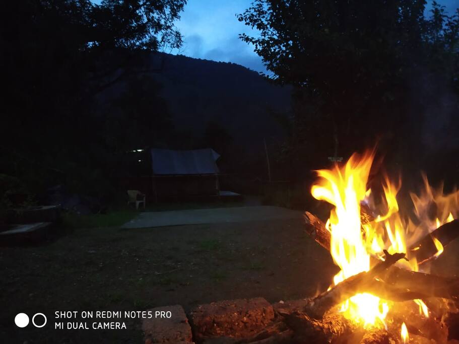 Warm Camp Fire and Cool breeze