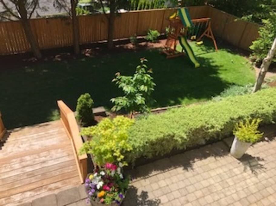 Back Yard Play Set
